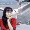 梦丽的头像