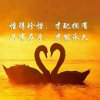 一生相伴的头像