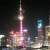 林中鸟的头像