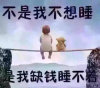 陈庆慈的头像