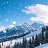 天山雪的头像