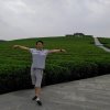 快乐哥的头像