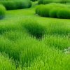二师兄的头像