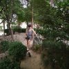 蝶恋花的头像