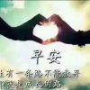 雾里看花的头像