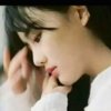 放飞梦想  与退出的头像