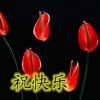 快乐的头像