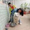 乐园歌手梦想成真的头像