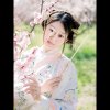 春雨（暂退）的头像