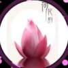 M香柏木的头像