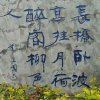 随缘^O^的头像