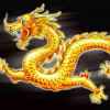 北方一条龙的头像