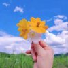 一厢情愿的头像