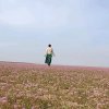 心静的头像