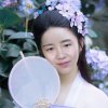 梦之兰的头像