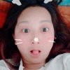 迎春花的头像