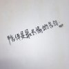 的头像
