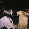 房东的狗的头像