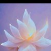 伊一的头像