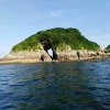 海H阔B天X空的头像
