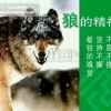 善报  福到的头像