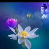 梦醒时分☞净心静心修心☜的头像
