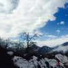 随风飘的头像