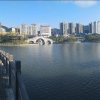 daming的头像