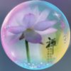 ♚梵呗净訫的头像