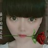 小夏(已停)的头像