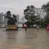 迷失了梦想的头像