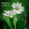 ༄ༀ老༒顽༒童ༀ࿐的头像