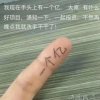舞动心菲的头像