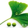 伤吧的头像