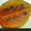 累的头像
