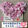 萍水相逢啦啦啦！【忙呀】的头像
