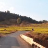 高山彝人的头像