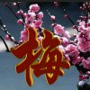 开心梅子的头像