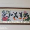 摇钱树的头像