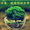 紫婉的头像