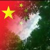 老陈的头像