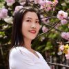 云儿的头像