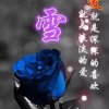 人生如梦的头像