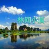 林间小溪，的头像