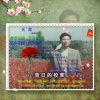 芳草萋萋主唱群兴乐缘的头像