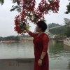 人在旅途的头像