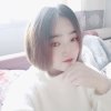 四叶草 温柔艳儿的头像
