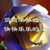 空谷幽兰的头像