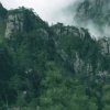 青山常绿的头像