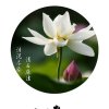 轩然静心修行的头像